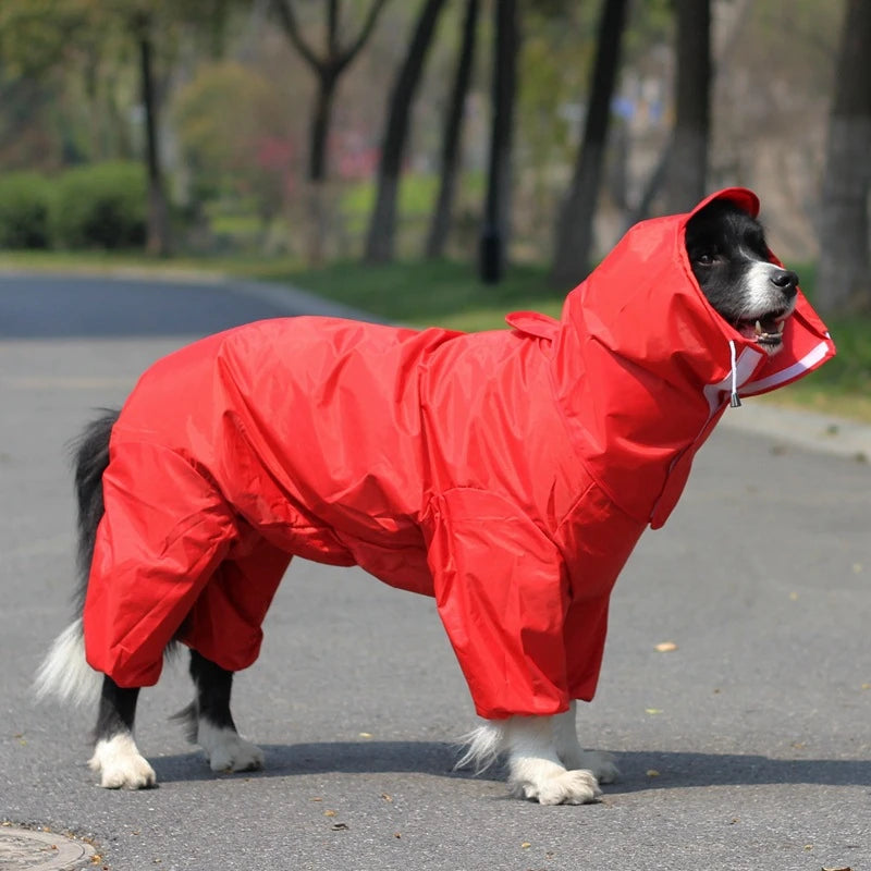 Impermeabile per Cani 4 Zampe con Cappuccio – Tuta Antipioggia per Cani Piccoli, Medi e Grandi