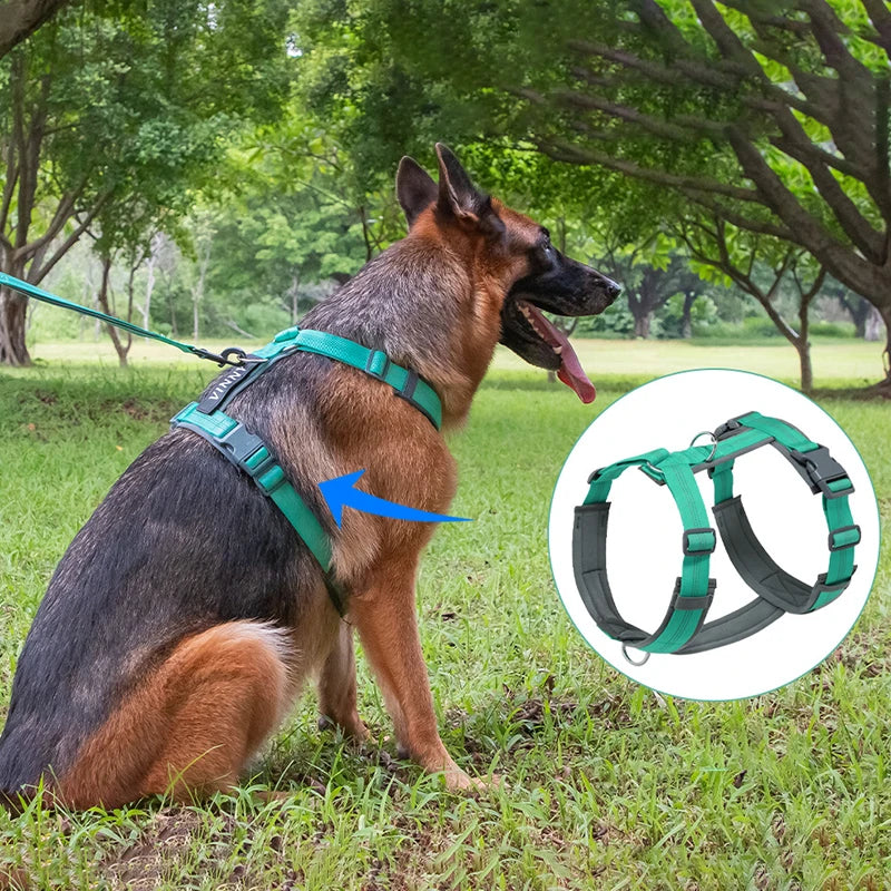 Pettorina ad H per Cani Regolabile, Imbottita e Riflettente | XS-XL