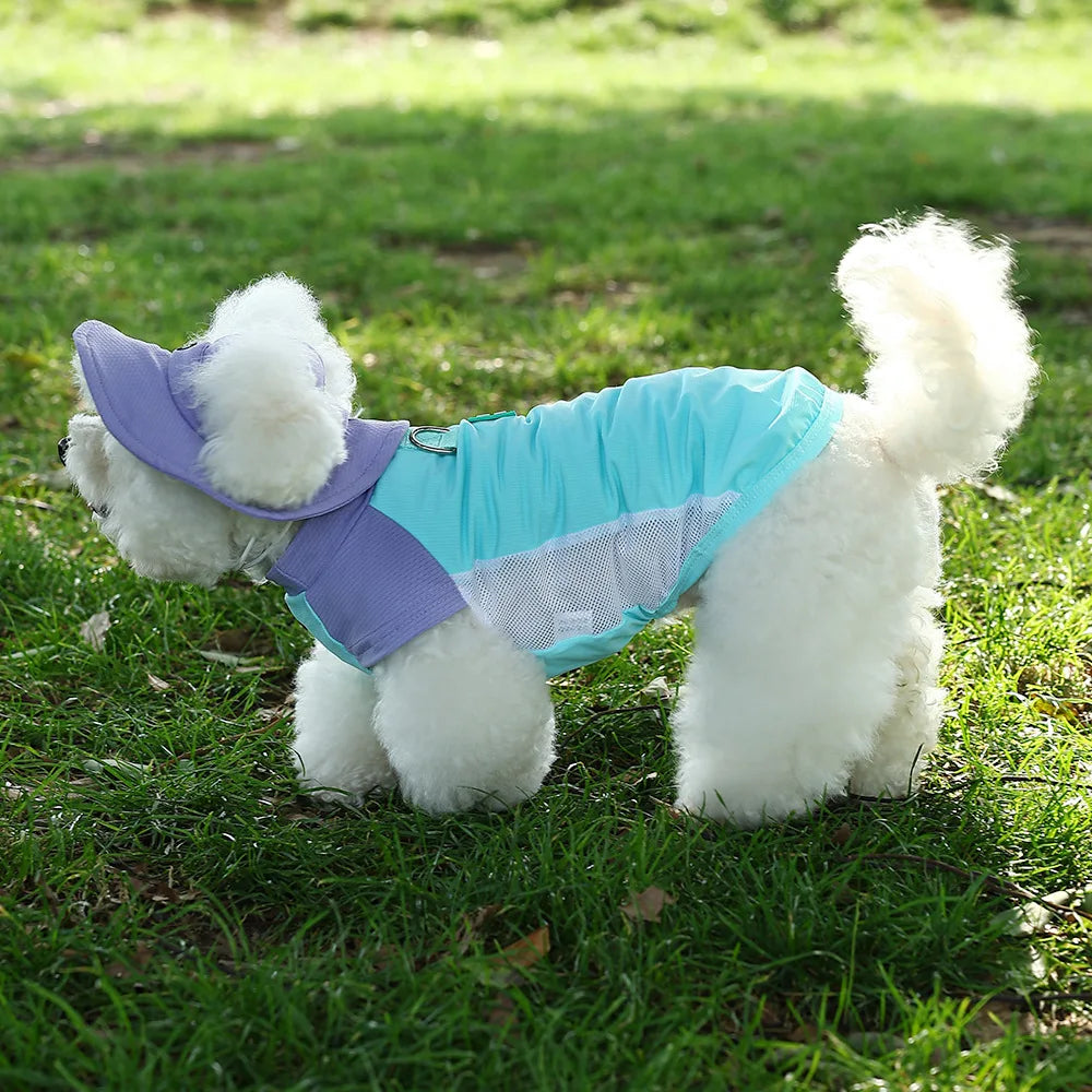 Gilet Rinfrescante Estivo per Cani con Protezione UV | Traspirante XS-3XL