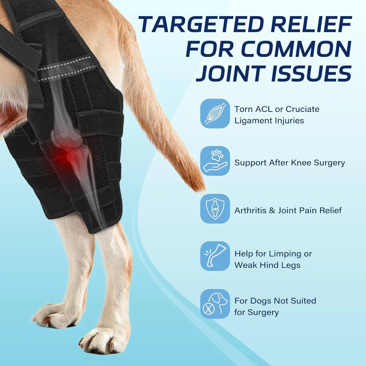 Tutore Doppio per Zampe Posteriori del Cane | Supporto Ginocchia Regolabile XS-XXL
