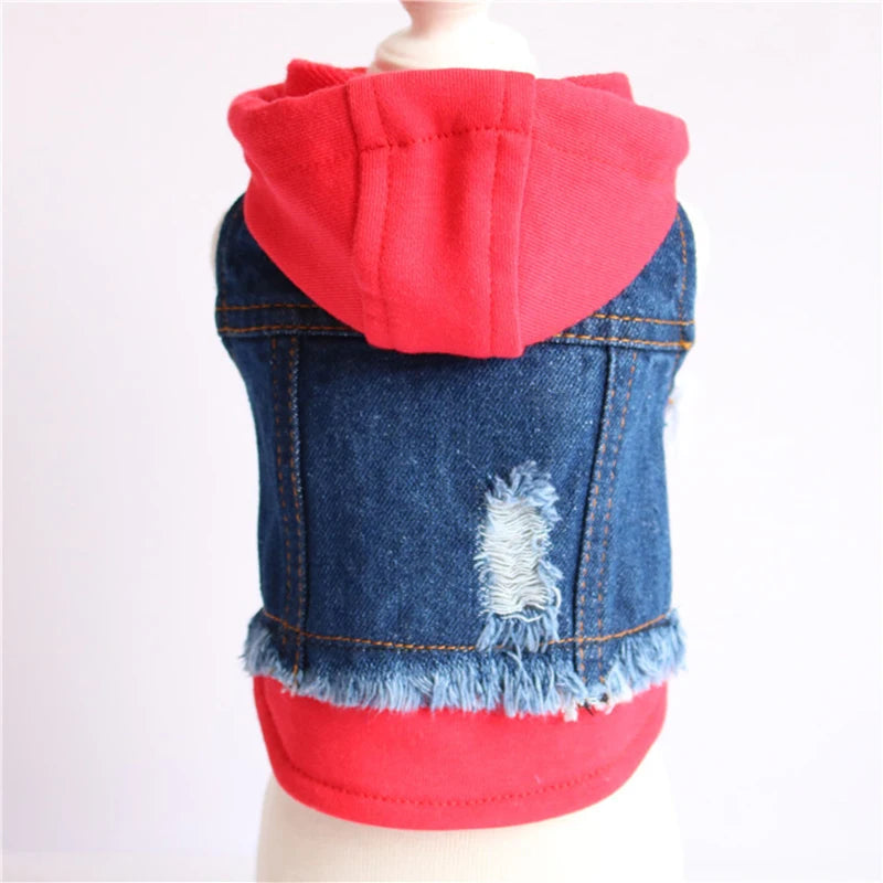 Giacca Jeans per Cani con Cappuccio e Design a Strati | XS-XXL
