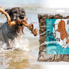 Snack di Carne con Anatra per Cani MERSJO 500 g – 85% Carne