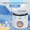 Casetta Refrigerante per Criceti e Piccoli Roditori | Rifugio Estivo con Piastra in Acciaio Inox