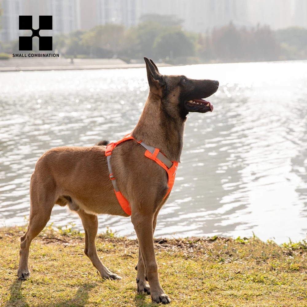 Pettorina Riflettente per Cani Regolabile con Porta Sacchetti – Nylon Resistente XXS-XL