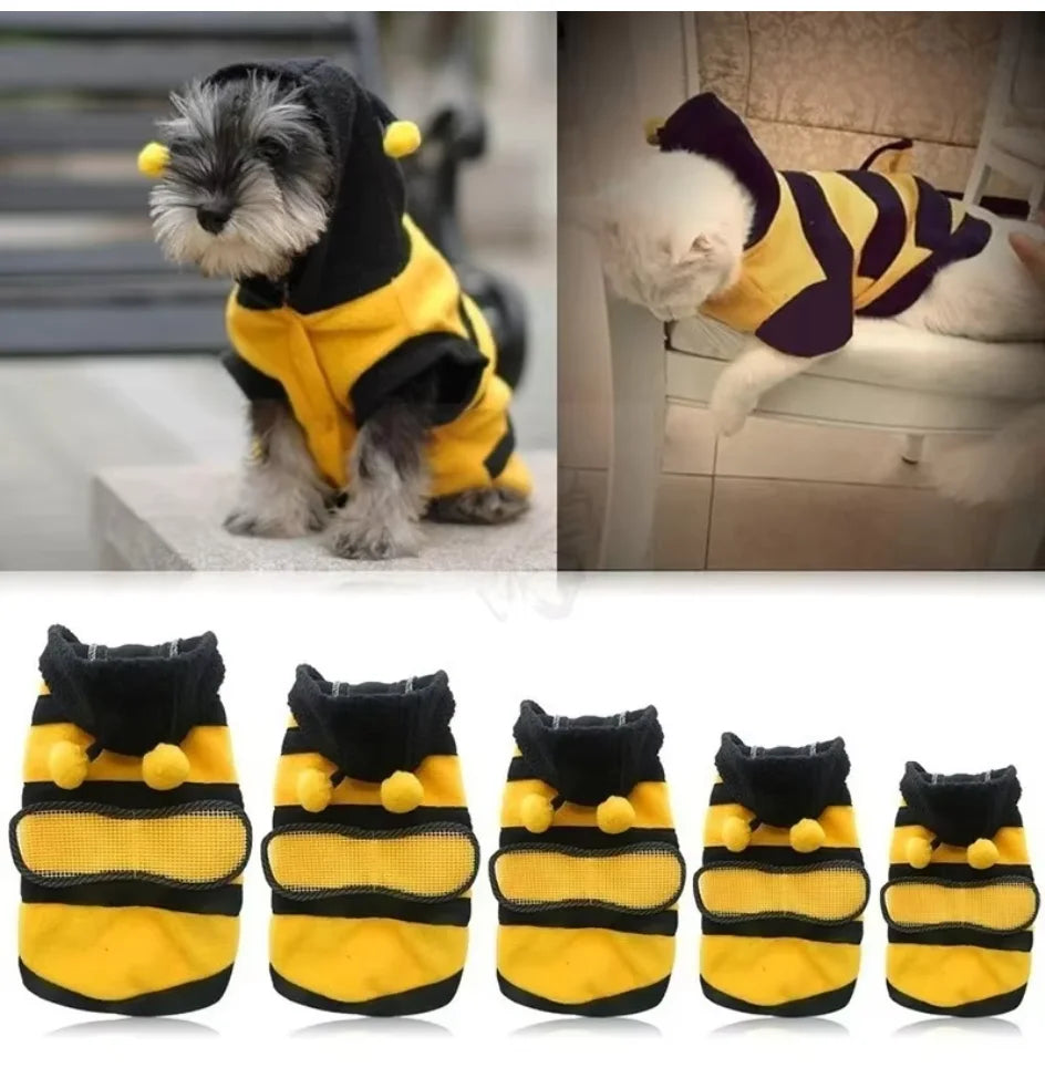 Costume Ape per Cani e Gatti – Felpa Calda con Cappuccio, Antenne e Ali