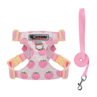 Set Pettorina e Guinzaglio per Cani Piccoli Regolabile e Imbottito | XXS-M – set B