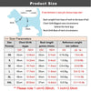 Giacca Jeans per Cani con Cappuccio e Design a Strati | XS-XXL