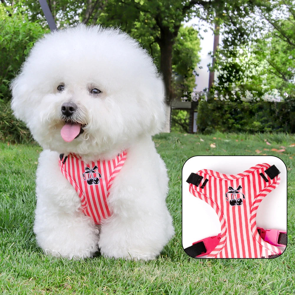 Set Pettorina e Guinzaglio per Cani Regolabile e Imbottita | Design Fashion XS-L