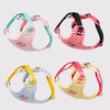 Set Pettorina e Guinzaglio per Cani Regolabile e Imbottita | Design Fashion XS-L
