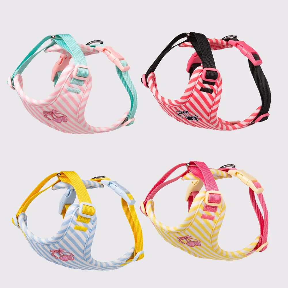 Set Pettorina e Guinzaglio per Cani Regolabile e Imbottita | Design Fashion XS-L