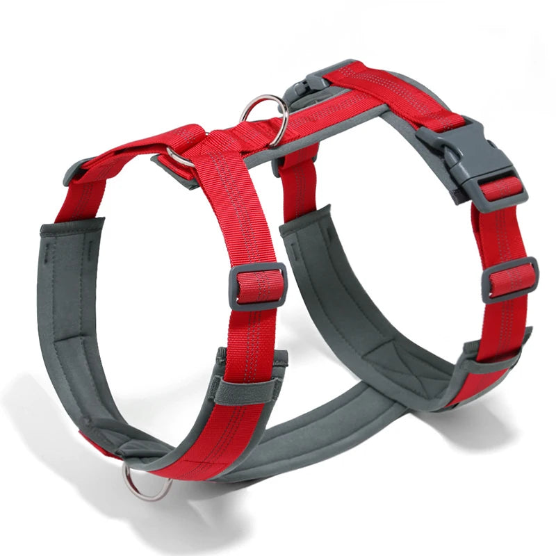 Pettorina ad H per Cani Regolabile, Imbottita e Riflettente | XS-XL