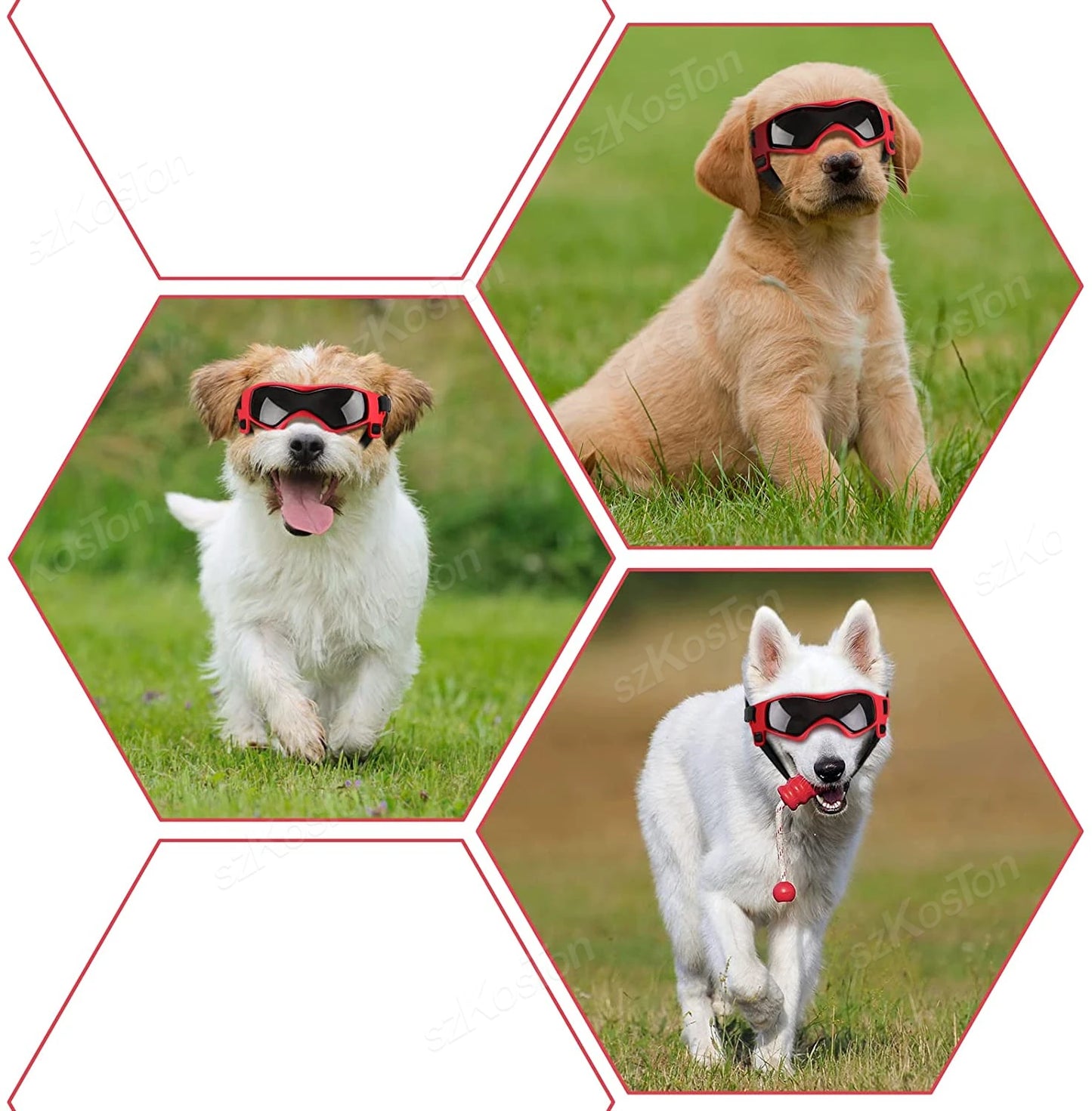 Occhiali Protettivi per Cani con Lenti UV, Antivento e Antipolvere | Taglie S-M