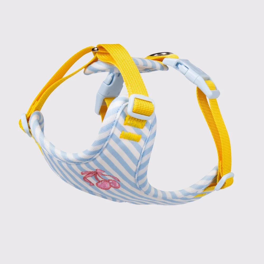Set Pettorina e Guinzaglio per Cani Regolabile e Imbottita | Design Fashion XS-L