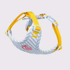 Set Pettorina e Guinzaglio per Cani Regolabile e Imbottita | Design Fashion XS-L – blue  harness only