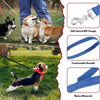 Guinzaglio Lungo per Cani in Nylon | Lunghina da Addestramento Resistente fino a 50 Metri