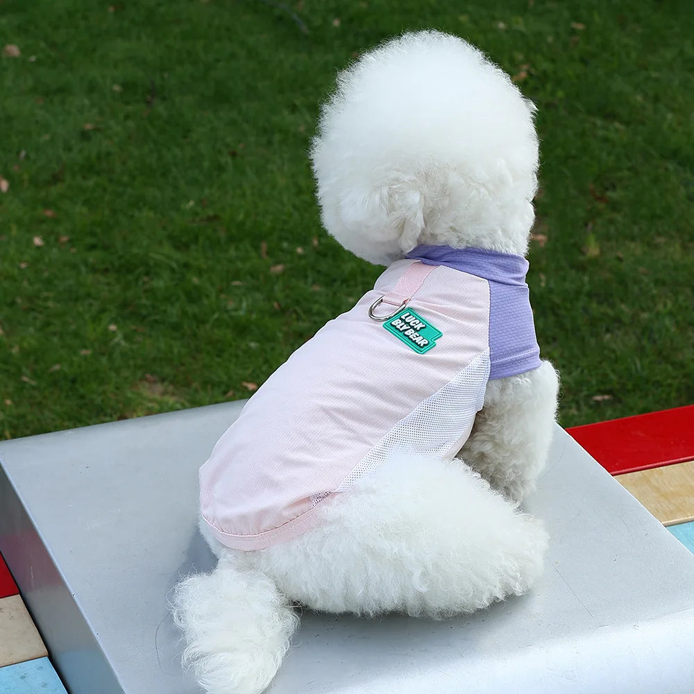Gilet Rinfrescante Estivo per Cani con Protezione UV | Traspirante XS-3XL