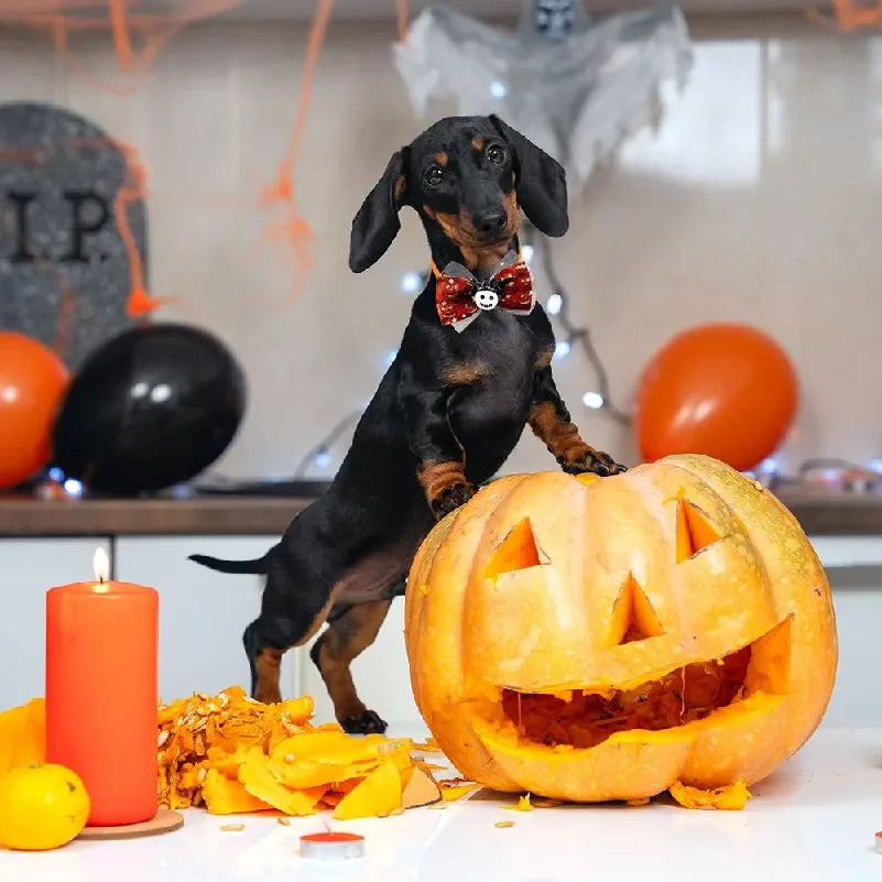 Set 18 Papillon Halloween per Cani e Gatti – Fiocchi Regolabili Fantasie Assortite