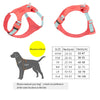 Pettorina Riflettente per Cani Regolabile con Porta Sacchetti – Nylon Resistente XXS-XL
