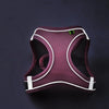 Pettorina Regolabile per Cani e Gatti con Guinzaglio | Set Harness Vest Traspirante Riflettente