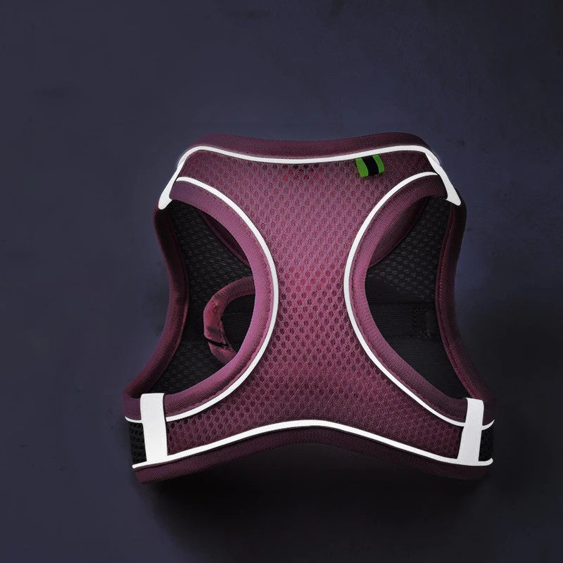 Pettorina Regolabile per Cani e Gatti con Guinzaglio | Set Harness Vest Traspirante Riflettente