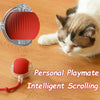Pallina Interattiva Intelligente per Gatti – Gioco Elettrico Automatico Ricaricabile USB-C in Silicone e ABS con Effetto Coda e Movimento Antistacolo