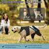 Tutore Doppio per Zampe Posteriori del Cane | Supporto Ginocchia Regolabile XS-XXL