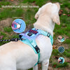 Pettorina per Cani con Porta AirTag/GPS, Riflettente e Antifuga | S-XL
