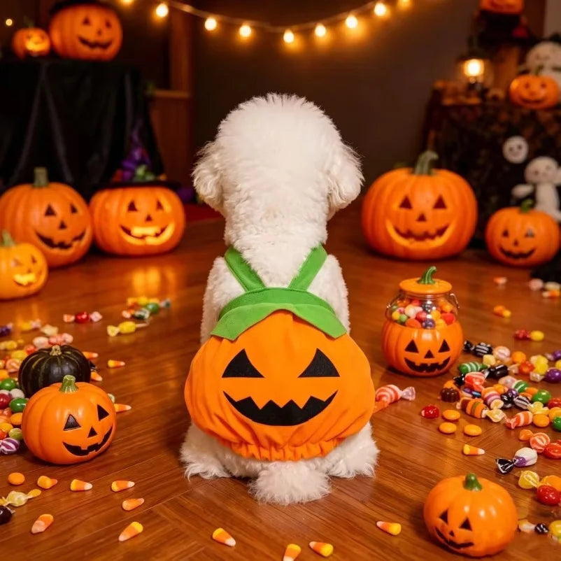Costume Zucca Halloween per Cani e Gatti – Vestito Arancione Regolabile