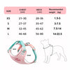 Set Pettorina e Guinzaglio per Cani Regolabile e Imbottita | Design Fashion XS-L