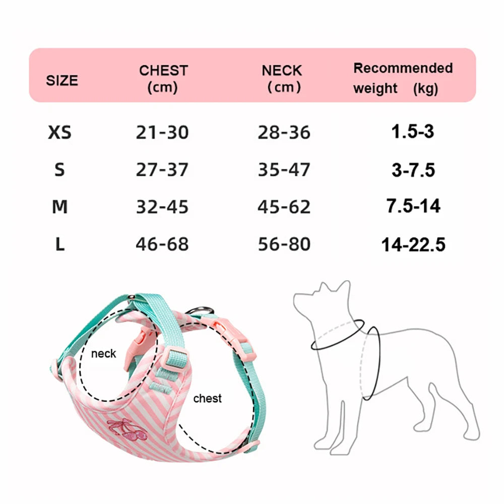Set Pettorina e Guinzaglio per Cani Regolabile e Imbottita | Design Fashion XS-L