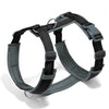 Pettorina ad H per Cani Regolabile, Imbottita e Riflettente | XS-XL