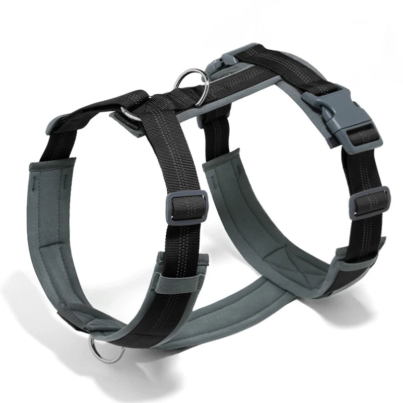 Pettorina ad H per Cani Regolabile, Imbottita e Riflettente | XS-XL