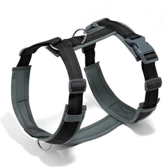 Pettorina ad H per Cani Regolabile, Imbottita e Riflettente | XS-XL – Black