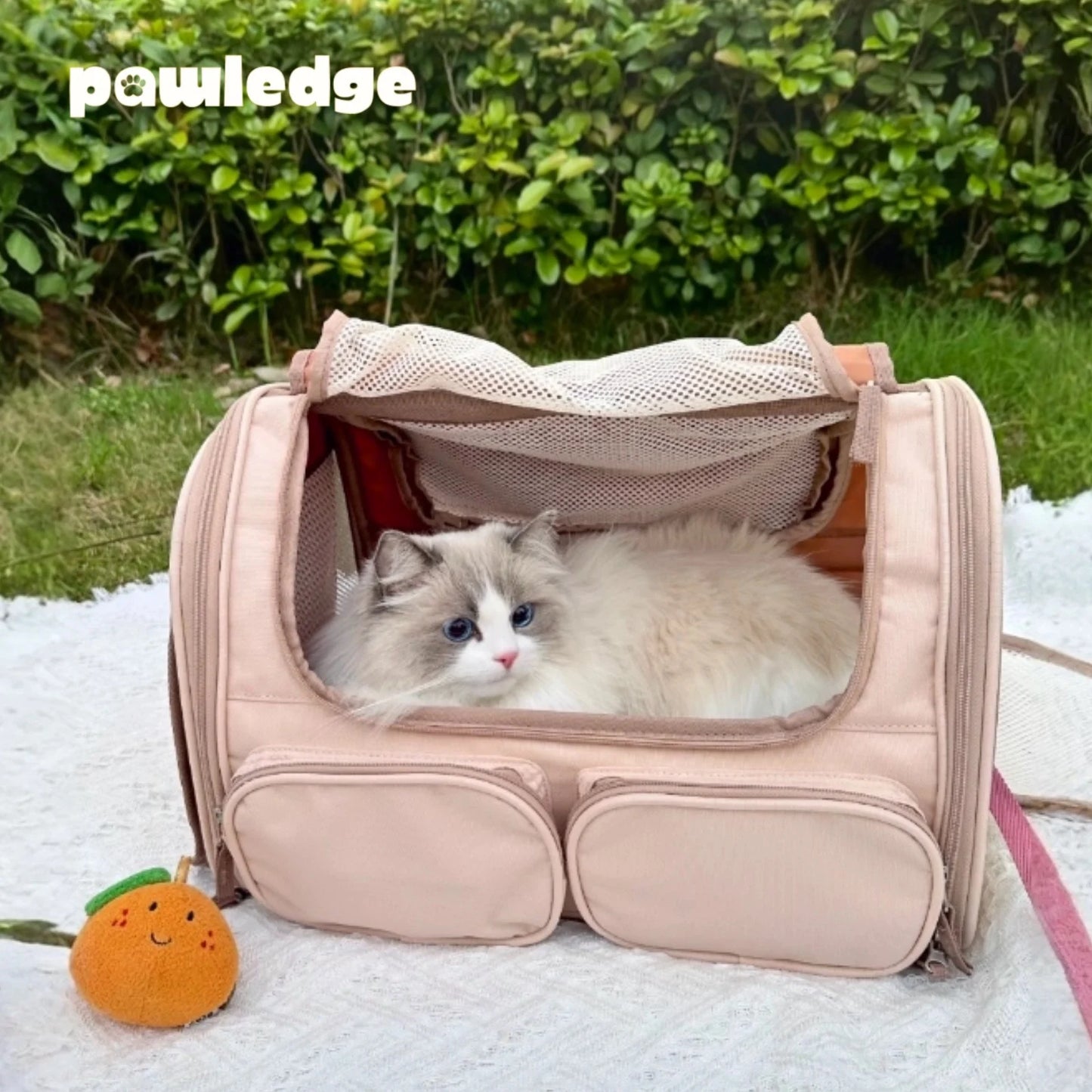 Trasportino Pieghevole per Gatti e Cani di Piccola Taglia con Tasche Portaoggetti