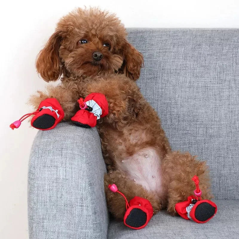 Scarpe Invernali per Cani e Gatti con Pile, Suola Antiscivolo e Dettagli Riflettenti