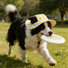 Cappellino Regolabile per Cani | Adjustable Dog Hat con Protezione Solare