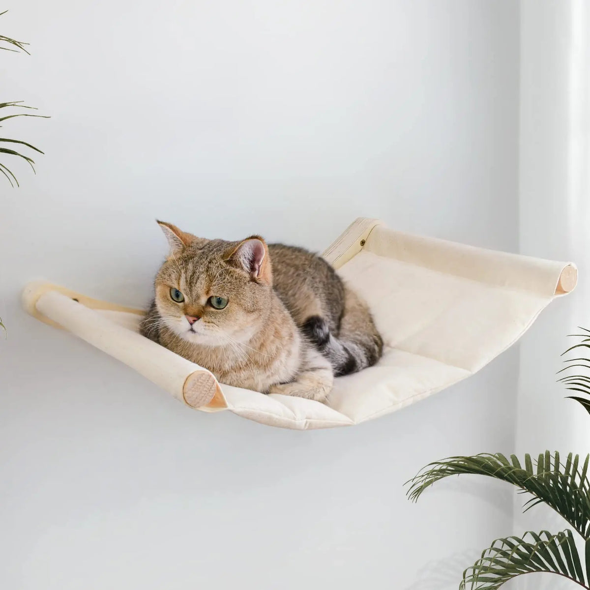 Amaca da Parete per Gatti 53×37 cm | Cuccia Sospesa e Mensola Relax