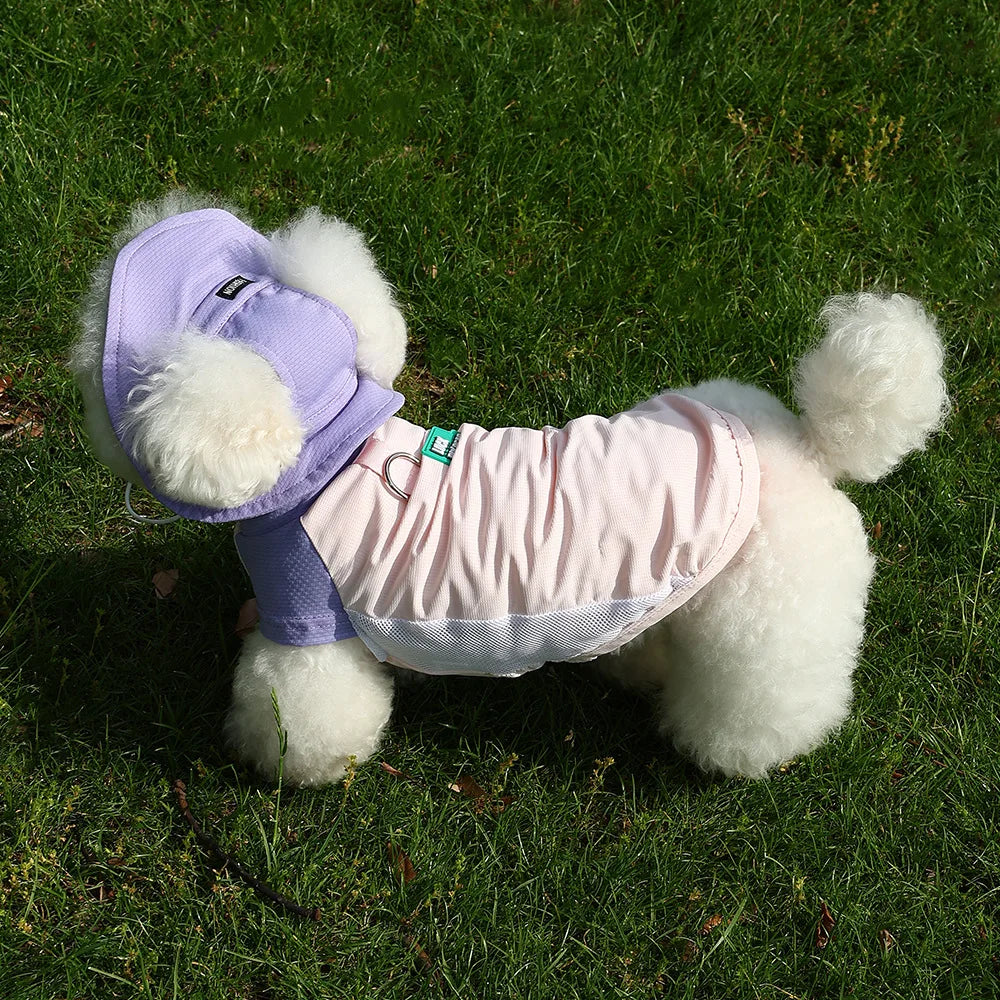 Gilet Rinfrescante Estivo per Cani con Protezione UV | Traspirante XS-3XL