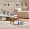 ZYFeeder Fontanella per Gatti e Cani 4L in Acciaio Inox 304 con Filtro e Indicatore Livello
