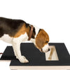 Tavoletta Tiragraffi per Cani in Legno con Box Porta Snack | Lima Unghie per Cani con Superficie Abrasiva e Cassetto Estraibile