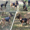 Pettorina Tattica per Cani Grandi MOLLE Regolabile con Maniglia e Attacchi Guinzaglio