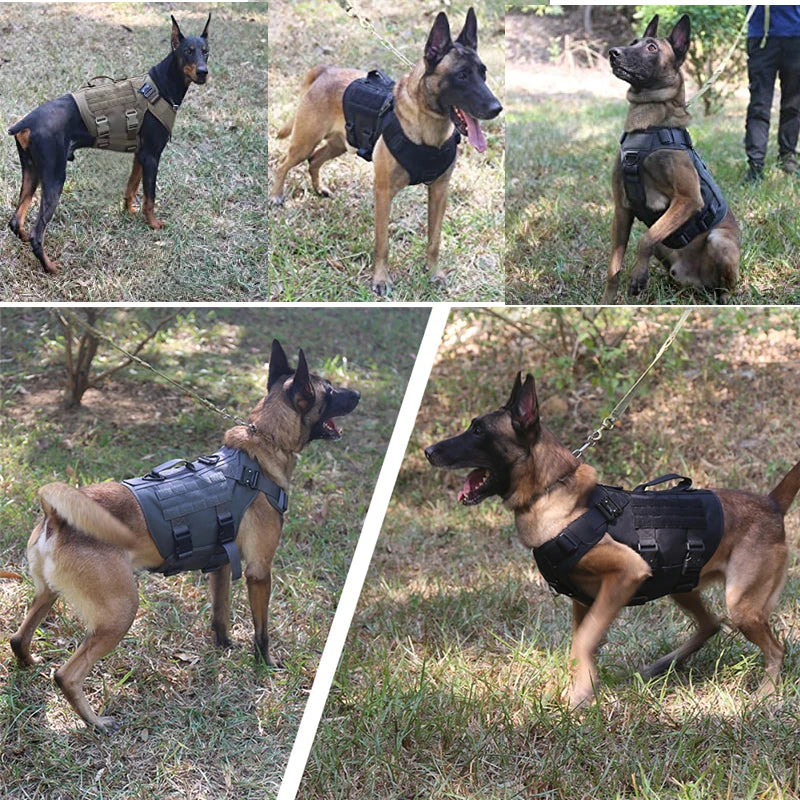 Pettorina Tattica per Cani Grandi MOLLE Regolabile con Maniglia e Attacchi Guinzaglio