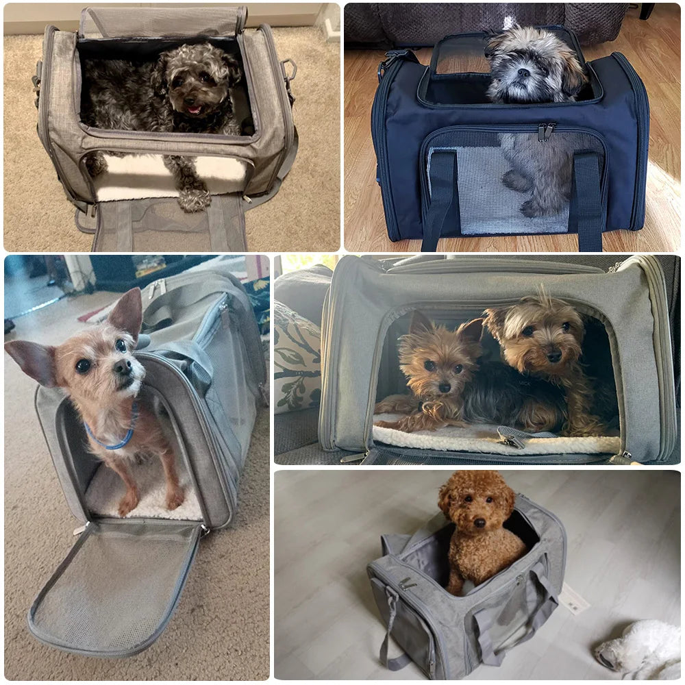 Trasportino Morbido per Cani e Gatti Omologato per Aereo – Borsa da Viaggio Impermeabile con Rete Antigraffio, Tracolla e Cuscino in Pile Removibile