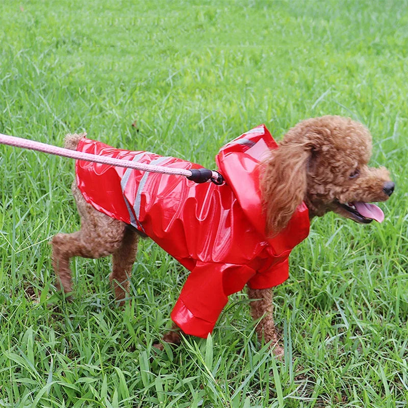 Impermeabile Riflettente per Cani Piccoli con Cappuccio – Mantella Antipioggia in PU S-XL