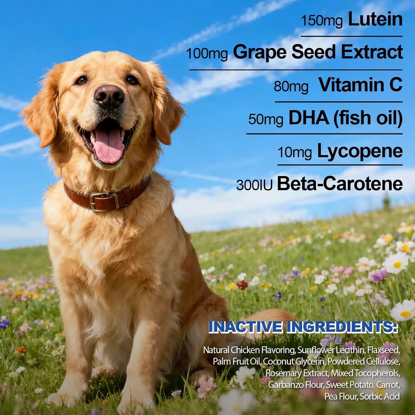 Kriath Vision Bites 200 g – Bocconcini per il Supporto della Vista del Cane con Luteina, DHA e Antiossidanti