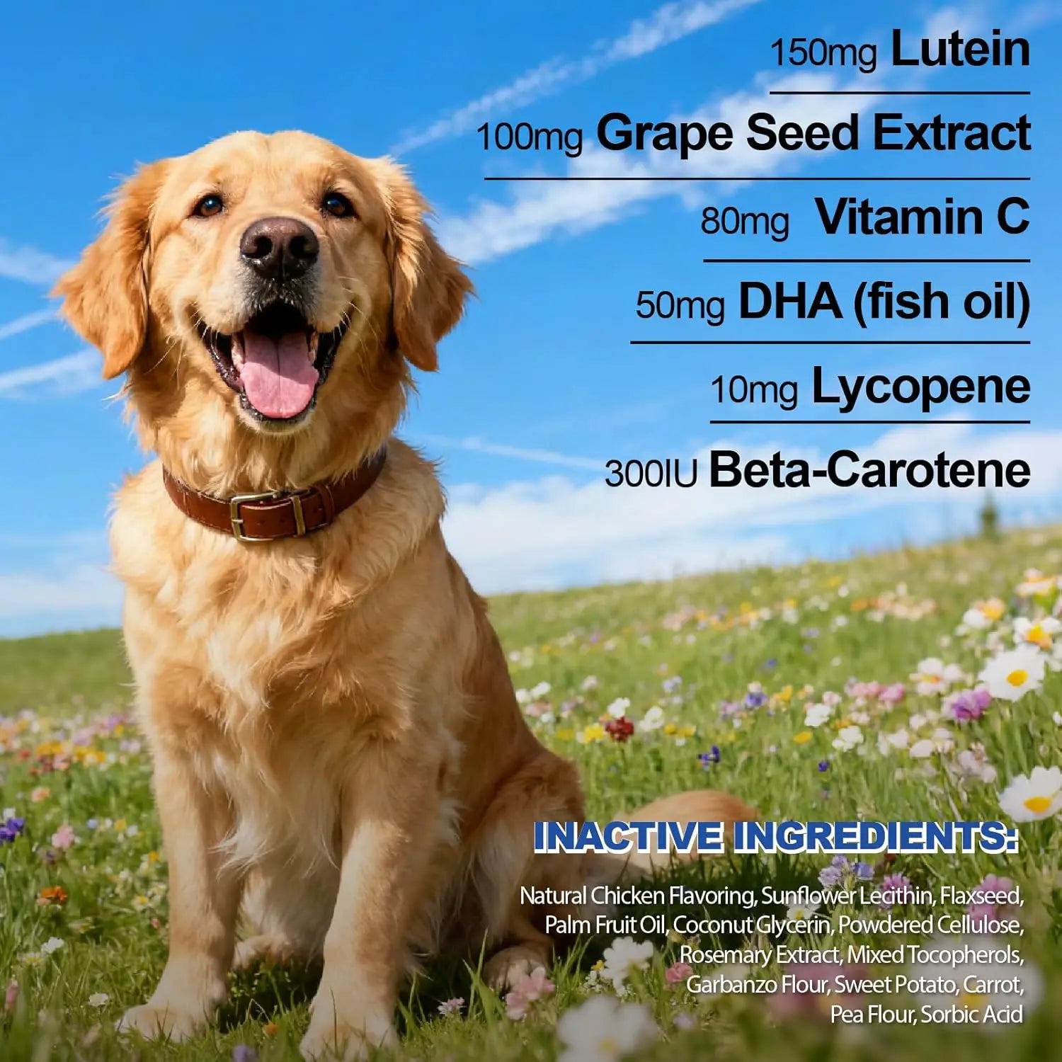 Kriath Vision Bites 200 g – Bocconcini per il Supporto della Vista del Cane con Luteina, DHA e Antiossidanti