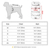 Giubbotto Imbottito per Cani – Gilet Invernale Caldo con Collo Alto – Taglie XS-2XL