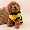 Costume Ape per Cani e Gatti – Felpa Calda con Cappuccio, Antenne e Ali