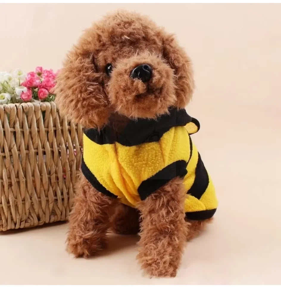 Costume Ape per Cani e Gatti – Felpa Calda con Cappuccio, Antenne e Ali