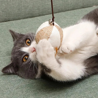 Bacchetta Gioco per Gatti con Piume Colorate e Pendaglio | Cat Wand Interattiva in Legno